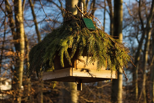 Hình ảnh minh họa ý nghĩa của từ food protection