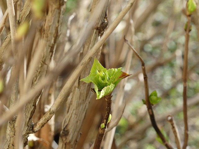 Hình ảnh minh họa ý nghĩa của từ force out