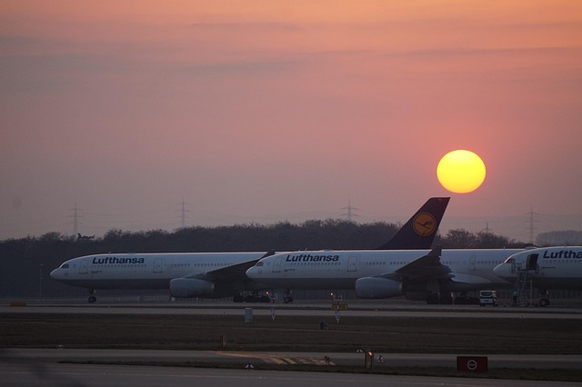 Hình ảnh minh họa ý nghĩa của từ forced