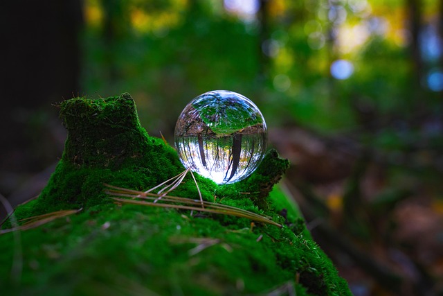 forest preservation