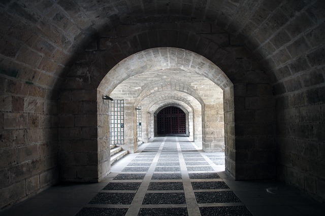 Hình ảnh minh họa ý nghĩa của từ fortifies