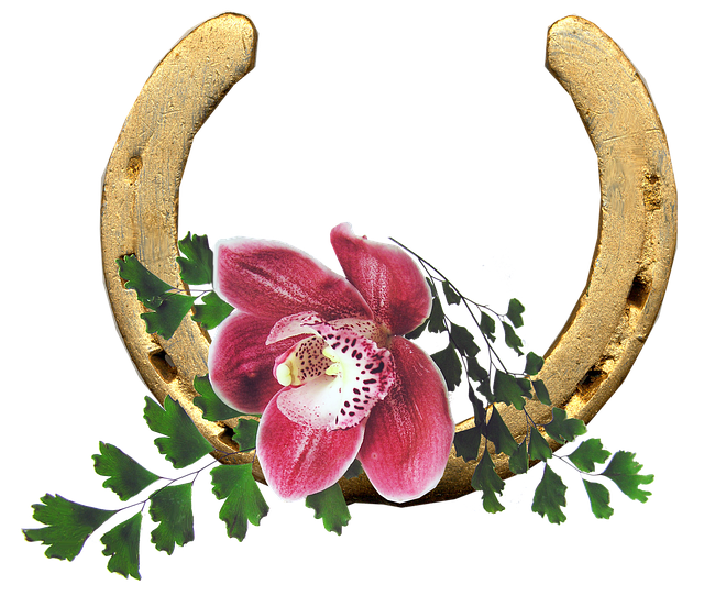 Hình ảnh minh họa ý nghĩa của từ fortuitous