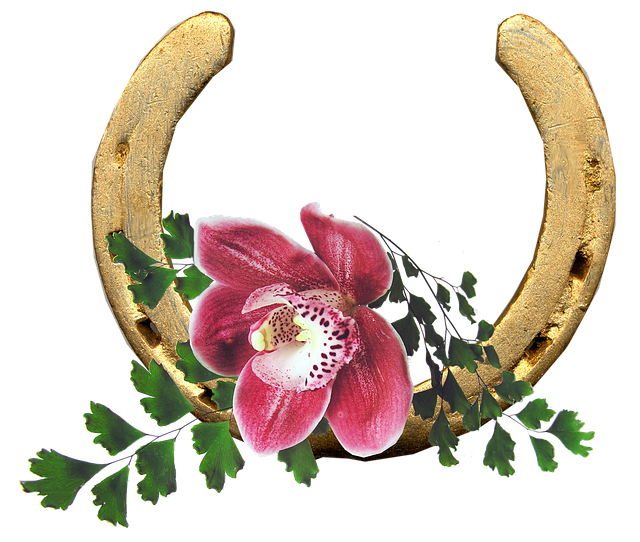 Hình ảnh minh họa ý nghĩa của từ fortuitously