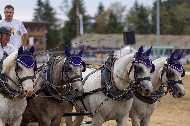 Hình ảnh minh họa ý nghĩa của từ foursome