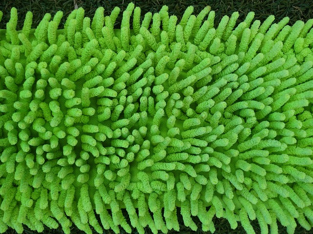 Hình ảnh minh họa ý nghĩa của từ fray