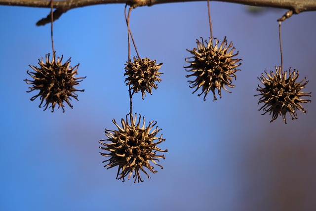 Hình ảnh minh họa ý nghĩa của từ free association