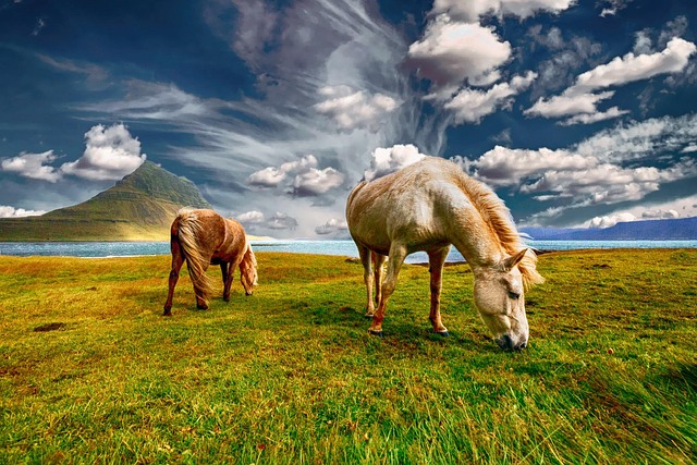 free environment