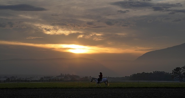 Hình ảnh minh họa ý nghĩa của từ free rider