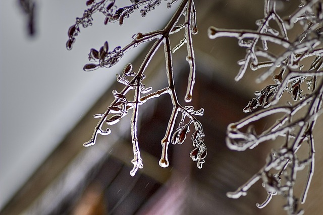 freezing rain event