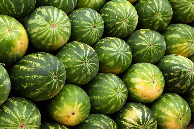 fresh fruits and vegetables