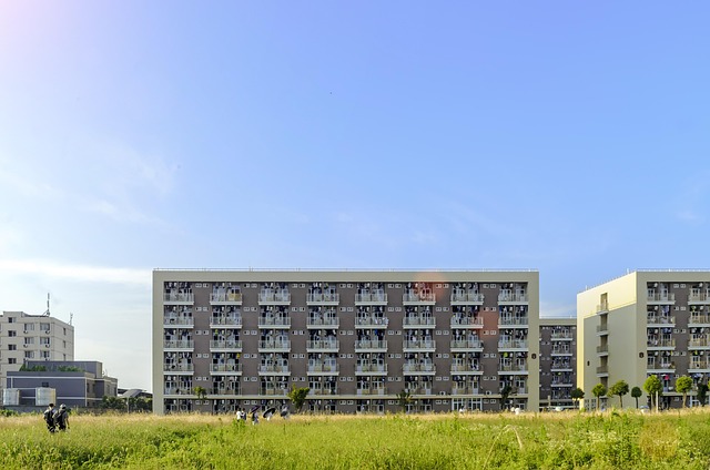 Hình ảnh minh họa ý nghĩa của từ freshman