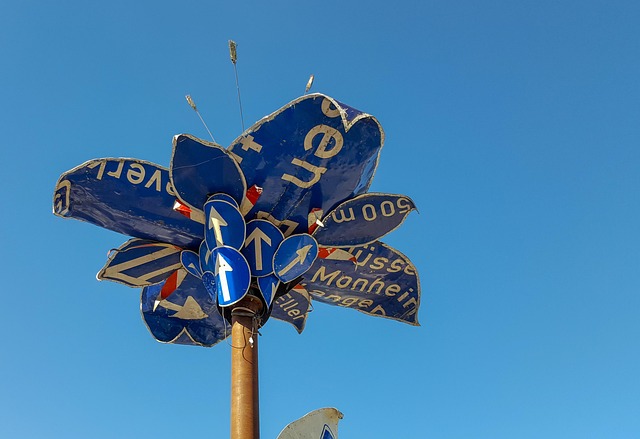 Hình ảnh minh họa ý nghĩa của từ frond