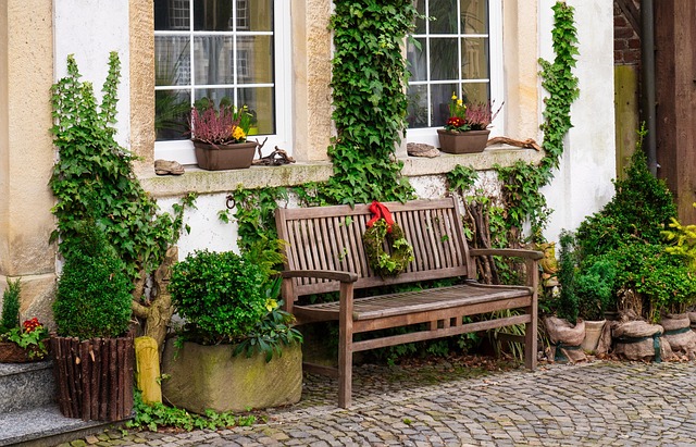 front yard