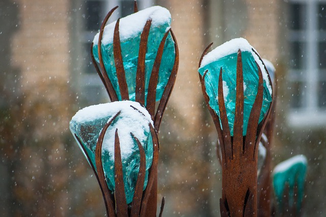 Hình ảnh minh họa ý nghĩa của từ frozen