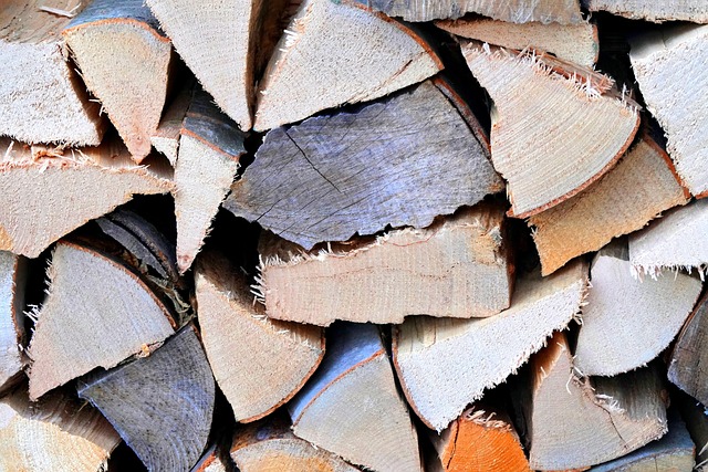 Hình ảnh minh họa ý nghĩa của từ fuelwood