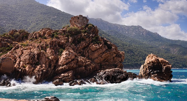génoise