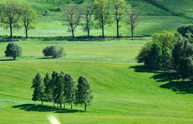 Hình ảnh minh họa ý nghĩa của từ gale