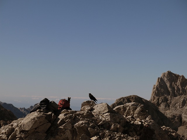 Hình ảnh minh họa ý nghĩa của từ gallows