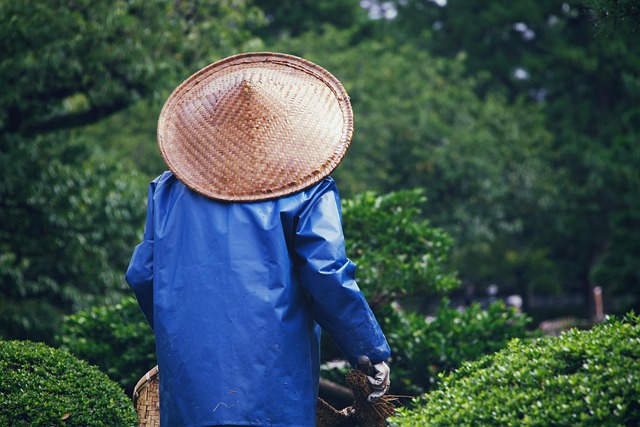 gardener