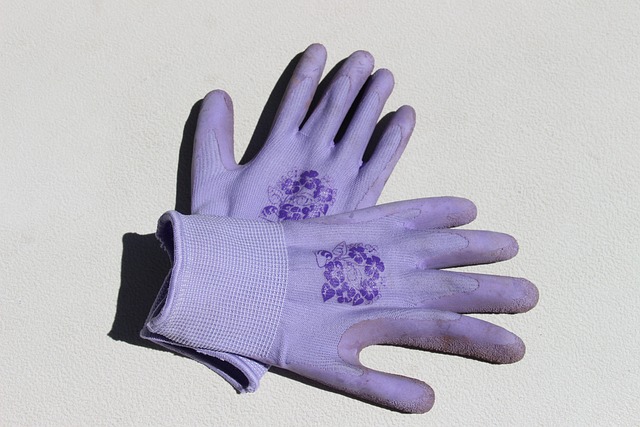 Hình ảnh minh họa ý nghĩa của từ gardening gloves