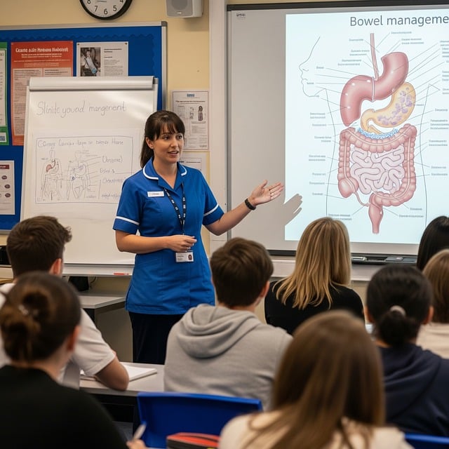 Hình ảnh minh họa ý nghĩa của từ gastrointestinal