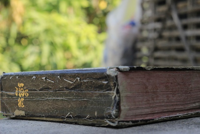 Hình ảnh minh họa ý nghĩa của từ genesis