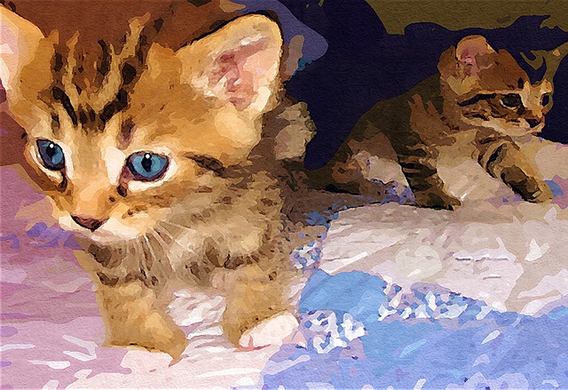 Hình ảnh minh họa ý nghĩa của từ gentle