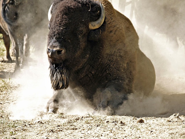 Get up