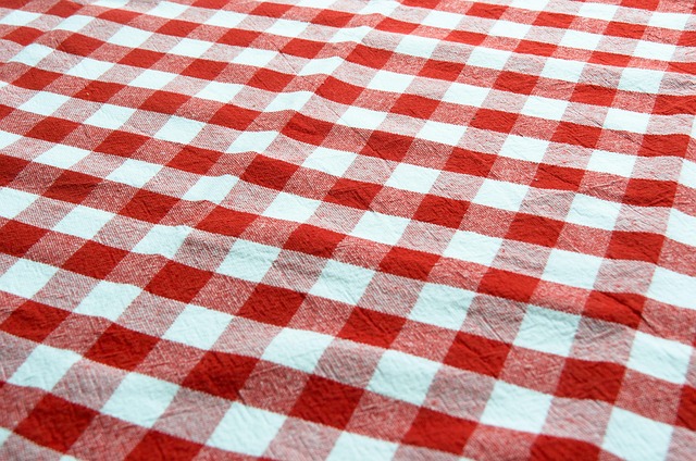 Hình ảnh minh họa ý nghĩa của từ gingham