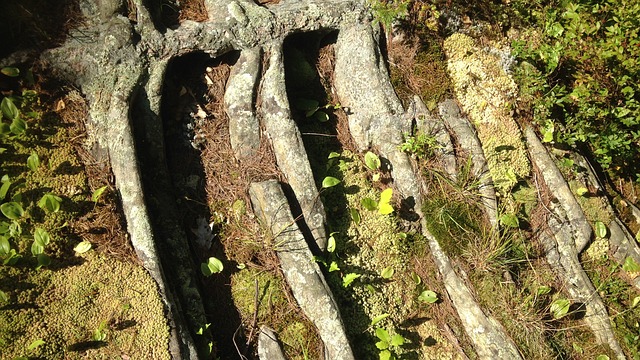 Hình ảnh minh họa ý nghĩa của từ glacial erosion