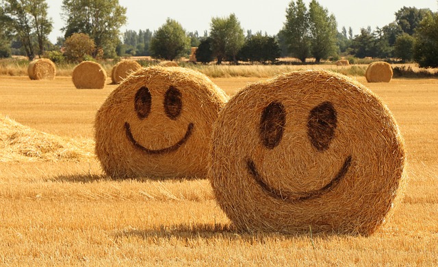 glad