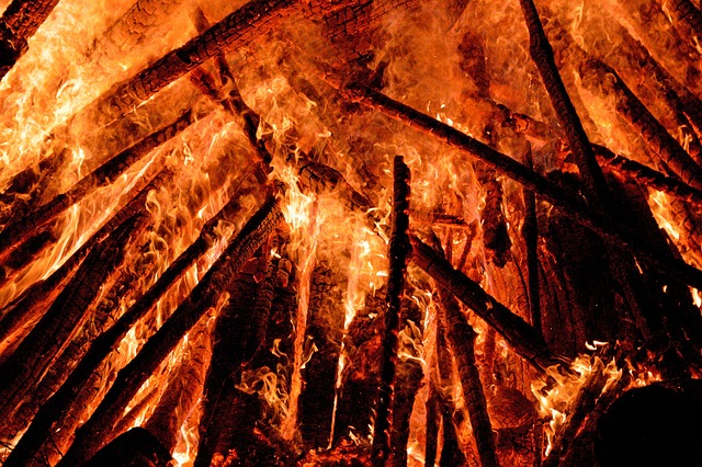 Hình ảnh minh họa ý nghĩa của từ glutted