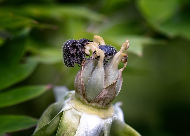 Hình ảnh minh họa ý nghĩa của từ gluttonizing