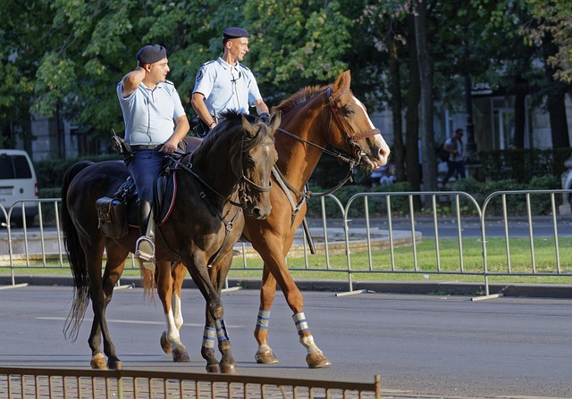 Hình ảnh minh họa ý nghĩa của từ going public