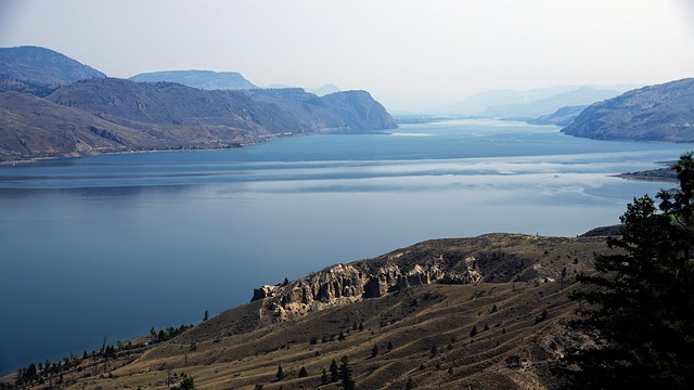 Hình ảnh minh họa ý nghĩa của từ gold digger