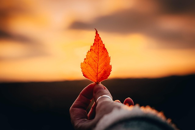 Hình ảnh minh họa ý nghĩa của từ gold leaf