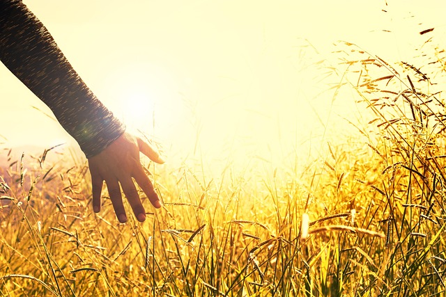 golden touch