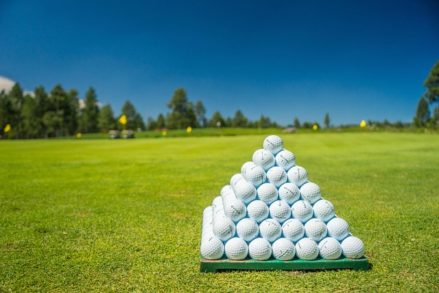 Hình ảnh minh họa ý nghĩa của từ golf