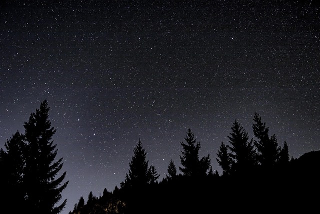 good night