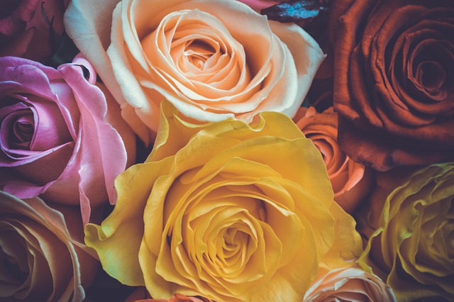 Hình ảnh minh họa ý nghĩa của từ gothic novel