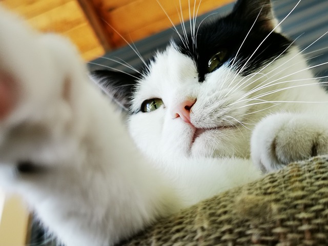 Hình ảnh minh họa ý nghĩa của từ grabbing