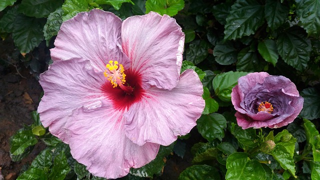 Hình ảnh minh họa ý nghĩa của từ gradual