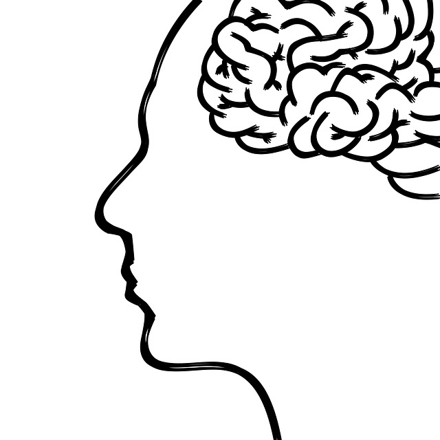 gray matter