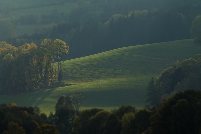 green design