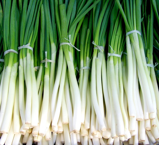 Hình ảnh minh họa ý nghĩa của từ green onion