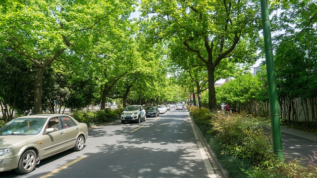 greenbelt