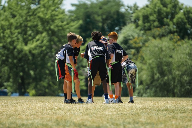gridiron