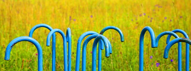 Hình ảnh minh họa ý nghĩa của từ grip