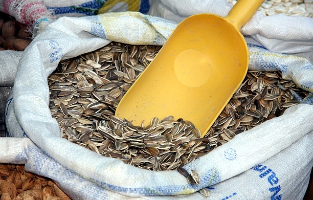 Hình ảnh minh họa ý nghĩa của từ grocery bag