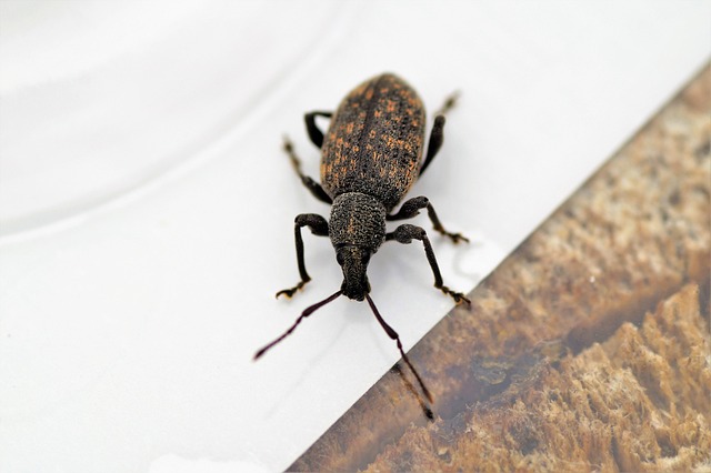 Hình ảnh minh họa ý nghĩa của từ grooved